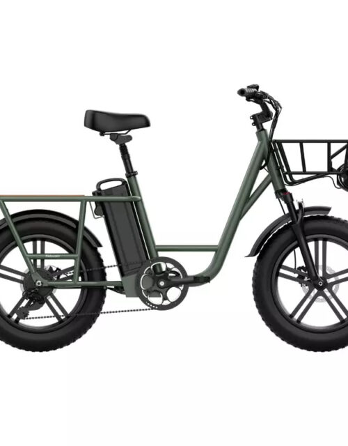 จักรยานไฟฟ้า Fiido T1 Pro Utility Electric Bike Fat tires 7 สปีด 750 วัตต์ ล้อ 20 นิ้ว ดิสน้ำมัน